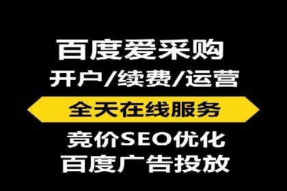 SEM托管公司案例分析：数据驱动决策
